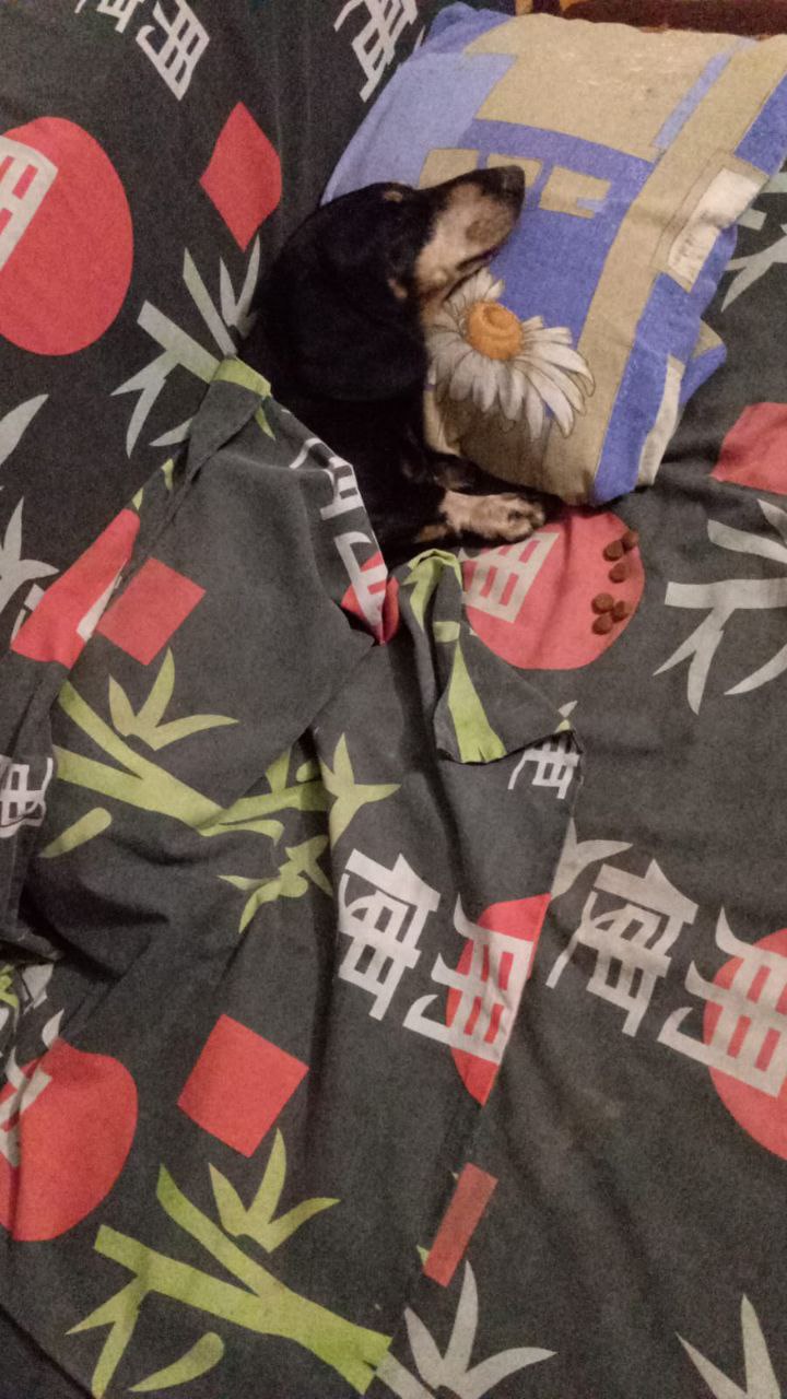 Доброе утро, Кубань!. Краснодар 13 °С Доброе утро, Кубань!. Краснодар 13 °С