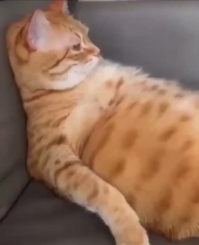 ��������� ��� ����� �������� �������� �����