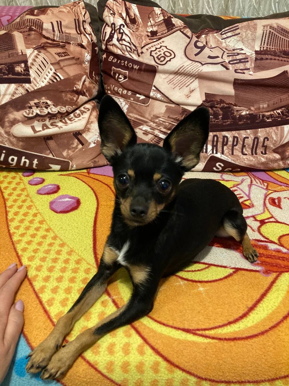 Доброе утро, Кубань!. Краснодар 13 °С Доброе утро, Кубань!. Краснодар 13 °С