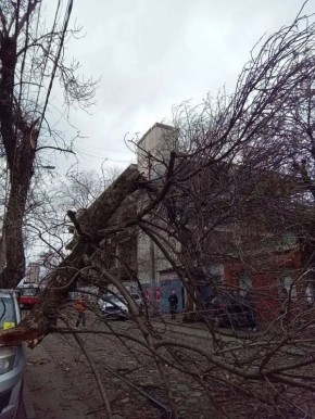 ������� ������ ������������� ���������� ������� � ����������