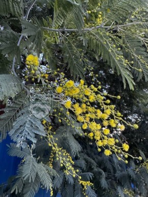 ������������ �����. ���� � ����� ��������� �����������, ���������� ���������� ����������� ���������� �������� ������