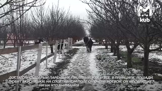 ��������� ����� � 2026-� � ����� �� ����� ������������ � �������� � ������������� ���� �������� ������ ����