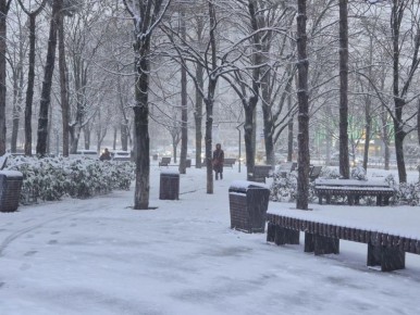 ������ �� ������������ ������ �������������