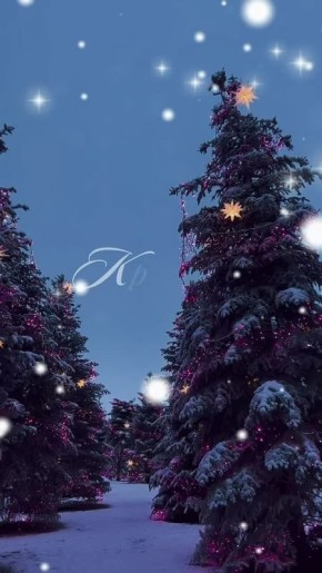 ������ ������� ����, ���������!