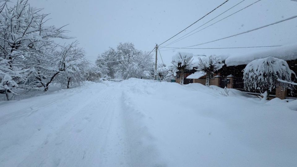 ������� � ���� ��������� �������� ��������������� ����������������� �������