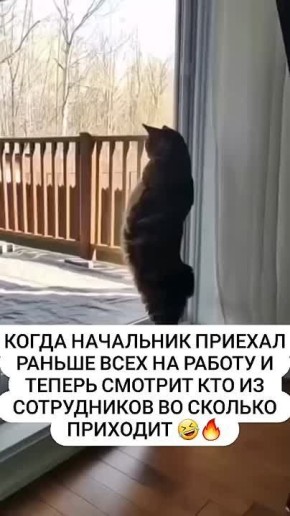 ��������, �������� � ������ ������� ����