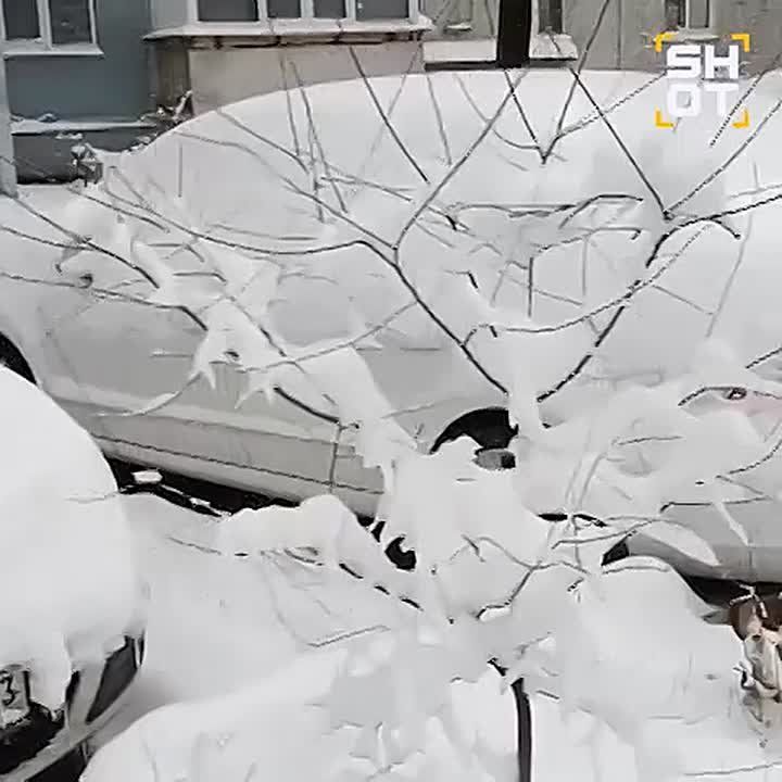 ������ ����������� ��� ������������� ���������: ����� ����� � 10-�������� �������, � ������ ������������ � �����