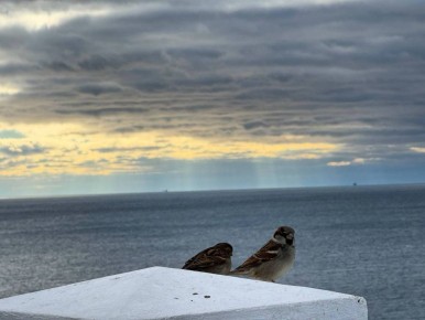 ����� ������� ��� ���������� � ����