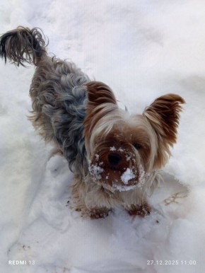 ������ ����, ������!. ��������� 1 ��