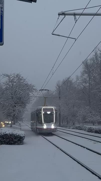 Евгений Наумов: Дорогие водители, не выезжайте в такую погоду на летней резине! Вы подвергаете опасности себя и окружающих