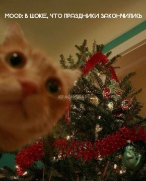 ����� �� ������� �����?. ��������� �����������, ������ ����� �������� �� ������