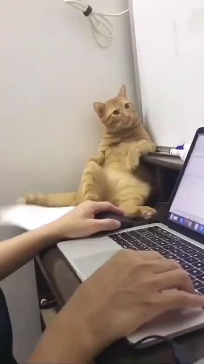 Тот самый начальник, который лично контролирует процесс