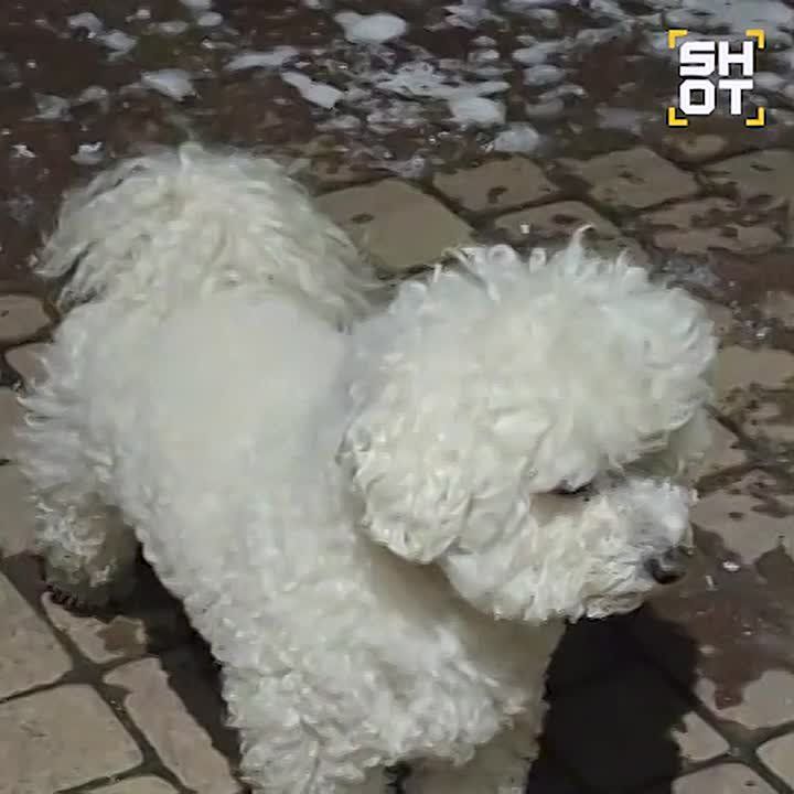 ����� ������� ���������� ��� ������ �������������� ����