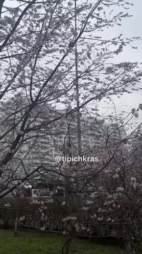 ����� ����, � ���������� ���� �������� ������� ����?