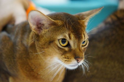 ��� �� ������ ������� ����� �������� � ����!