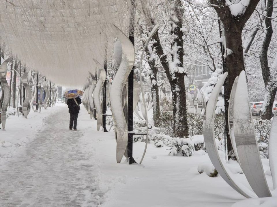 ��������� �� ������� ������ ��������� ��� �� ���� ������