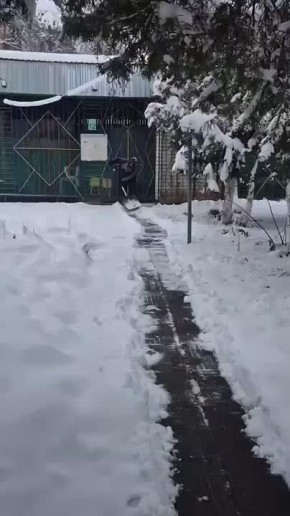 Обстановка в детских садах Краснодара