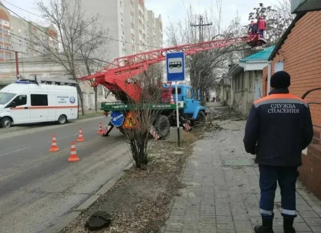 Завершились новогодние и рождественские каникулы – время отдыха и семейного тепла Завершились новогодние и рождественские каникулы – время отдыха и семейного тепла