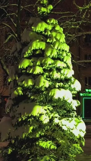 �� ����� ���������� ���� ����