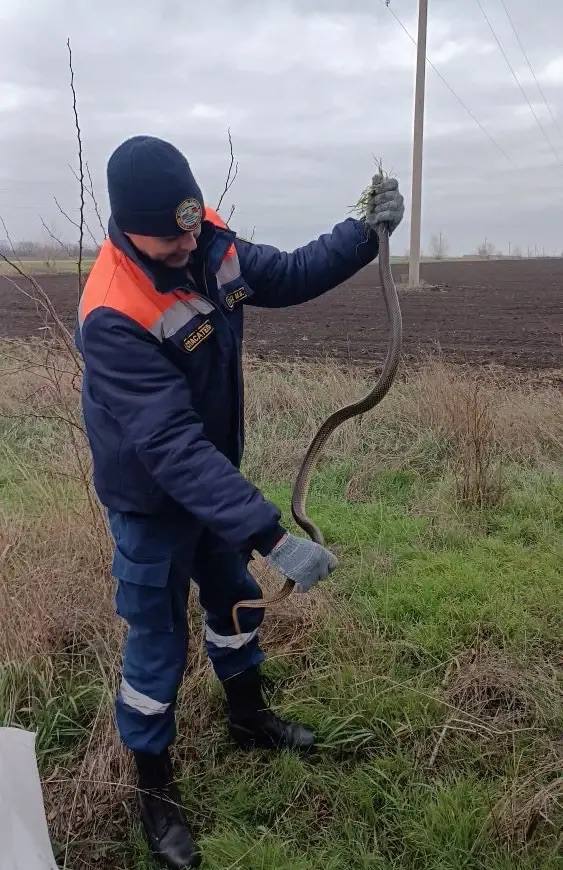 Завершились новогодние и рождественские каникулы – время отдыха и семейного тепла Завершились новогодние и рождественские каникулы – время отдыха и семейного тепла