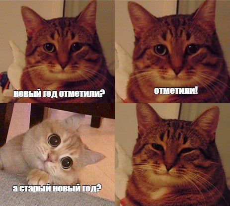 Сегодня старый Новый год. В ночь с 13 на 14 января в России и ряде других стран отмечают Старый Новый год