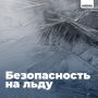 В городе снежно и морозно. В такую погоду водоёмы могут покрываться тонким слоем льда