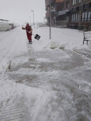 Управляющие компании приводят территории многоквартирных домов в порядок