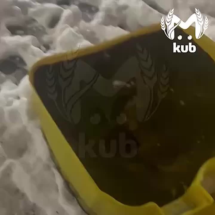 �� ������ ���������� ��������� ���������� � ������, �� �������� ��� � �� ��������