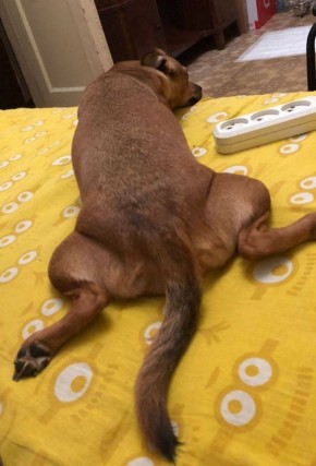 Доброе утро, Кубань!. Краснодар -4 °С