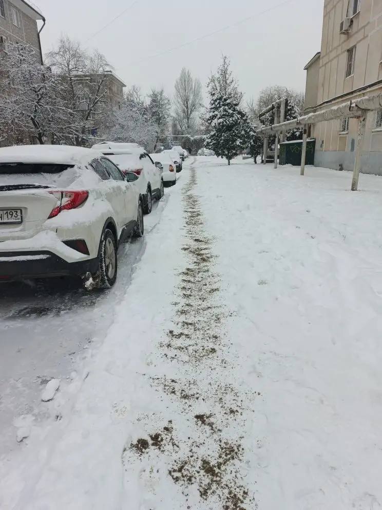 Дворовые территории приводят в порядок во всех внутригородских округах краевой столицы Дворовые территории приводят в порядок во всех внутригородских округах краевой столицы