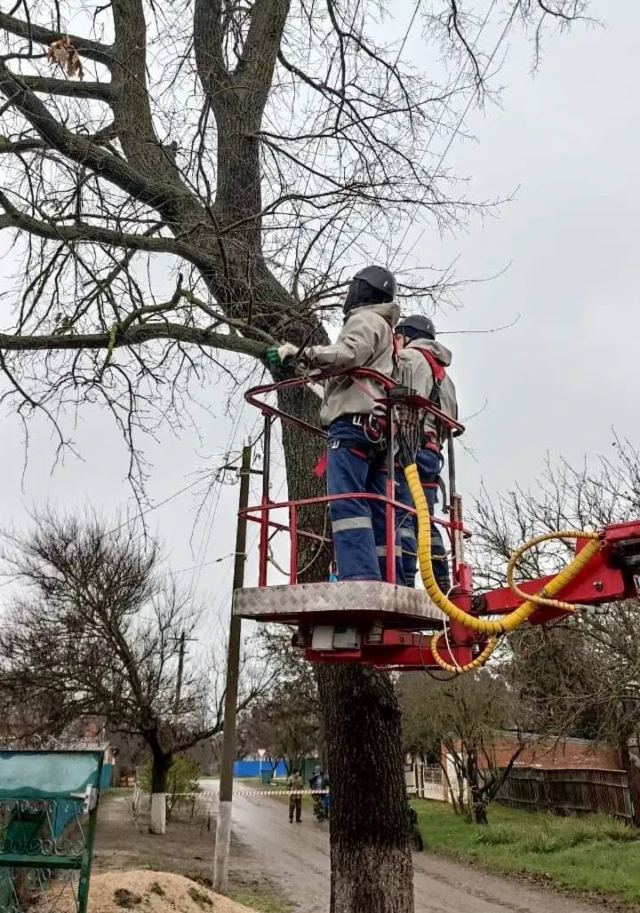 Завершились новогодние и рождественские каникулы – время отдыха и семейного тепла Завершились новогодние и рождественские каникулы – время отдыха и семейного тепла