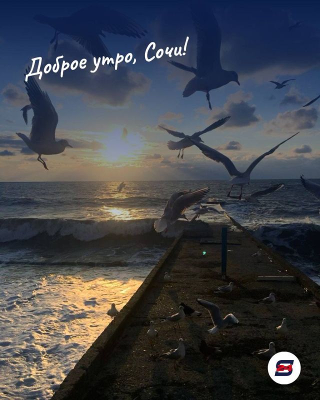 Доброе утро!. Пусть сегодняшний день будет спокойным, продуктивным и наполненным приятными мелочами