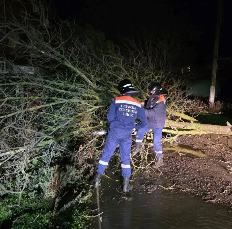 Завершились новогодние и рождественские каникулы – время отдыха и семейного тепла