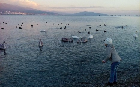 �� �������: ��� ������� ���� ����� � ������ �� ������������ ��������������� ������� ��� ���