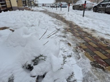 ���������� ������ ������� ������������ ������� �������� ��-�� ���������