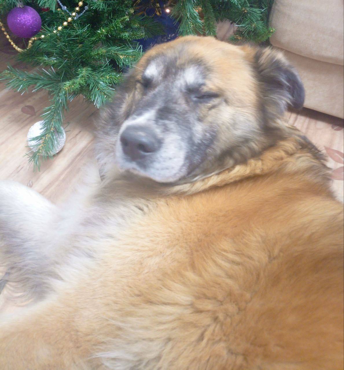 О погоде на 13 января. В Краснодарском крае облачно О погоде на 13 января. В Краснодарском крае облачно