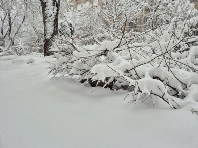 ����������� ������ �������� ������ ������������ ����� �� ������