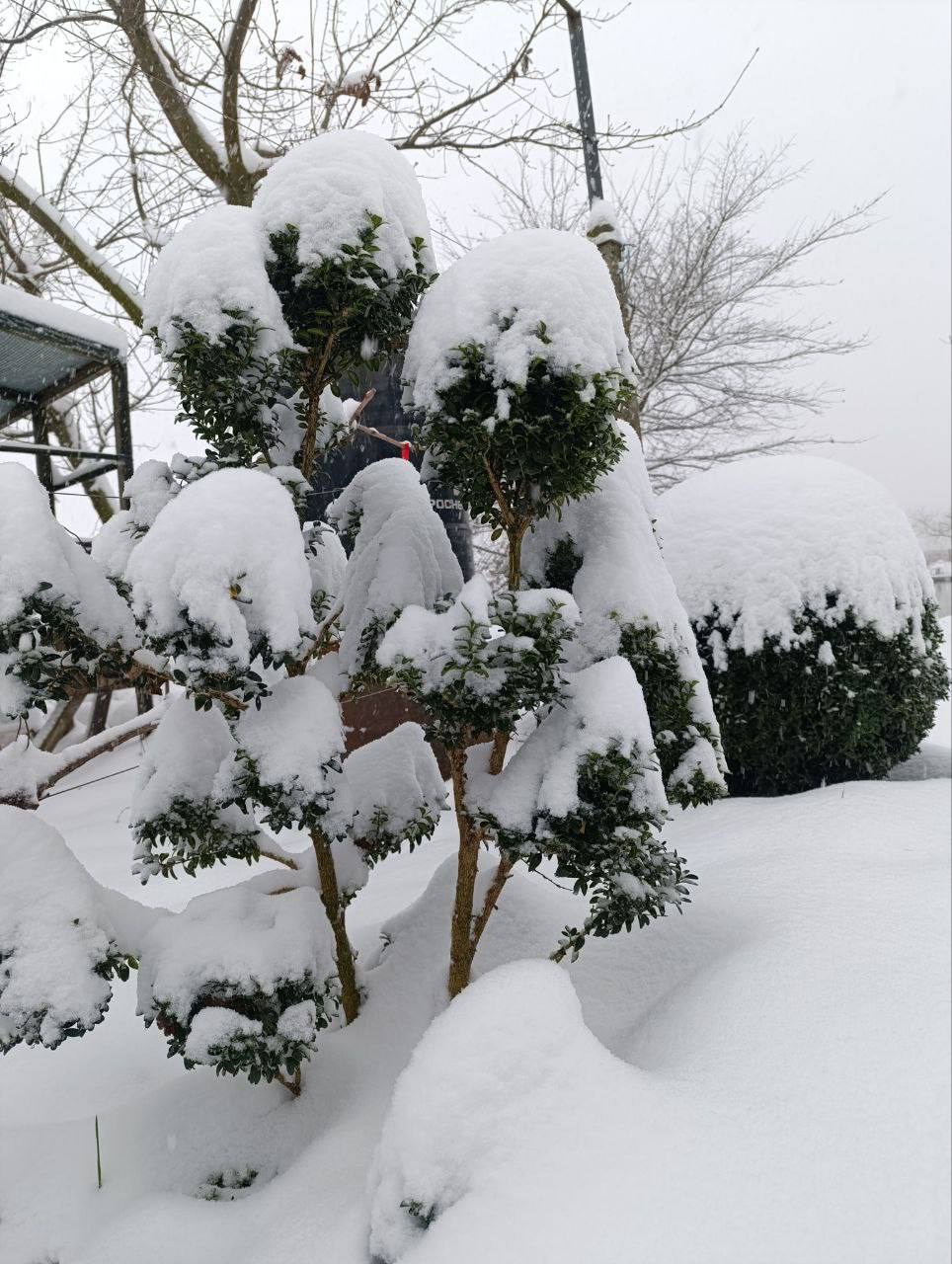 О погоде на 13 января. В Краснодарском крае облачно О погоде на 13 января. В Краснодарском крае облачно