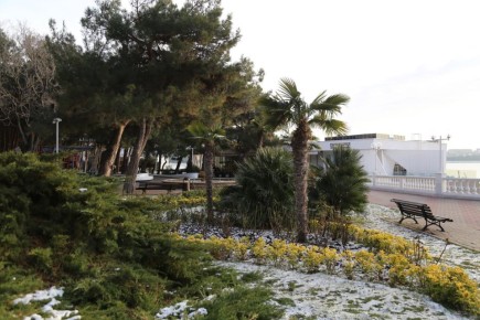 ��������, ��������� �������� �������