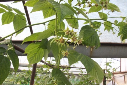 � 2025 ���� ����� ����� �������������� ������� ������ �������� �� �������� ������� ����� 14 ��� ������ ��������