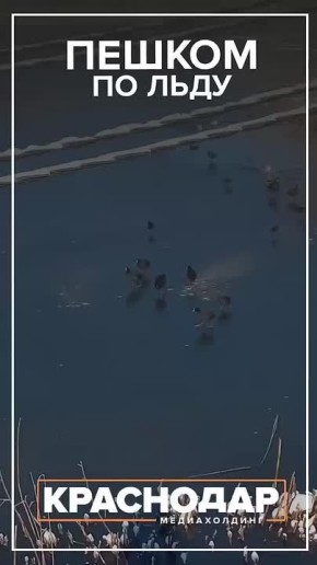 ������ ������. �� �������� �� ������ ����, � ����, ������ �������, ����������� � ����� �����