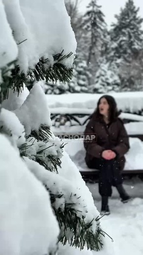 ������, ��� �������� ����� ��������?