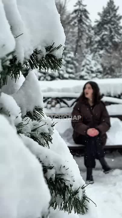 Знаете, как раскрыть тайны будущего?