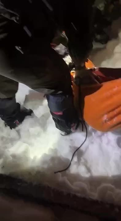 ������ ������ �� �/� ����� � ����