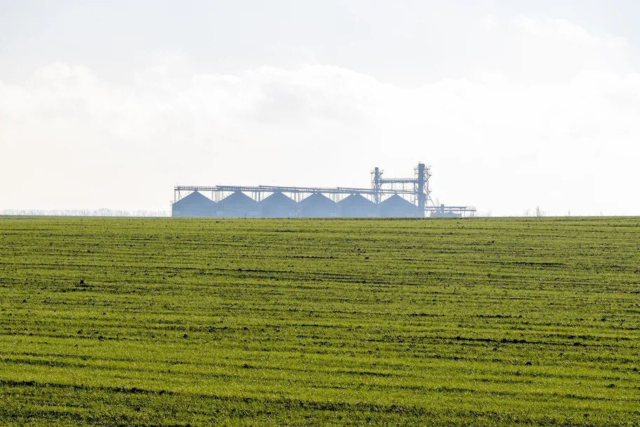 На Кубани планируют увеличить сельхозпроизводство на 7,7% в 2026 году