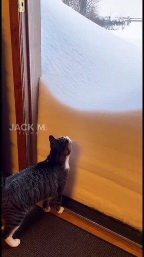 Самая короткая прогулка