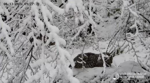 �������� � �����. � ������ �������������� �������� �� ������� �������� ����� ����� ��������� ����� ����� ������� ������