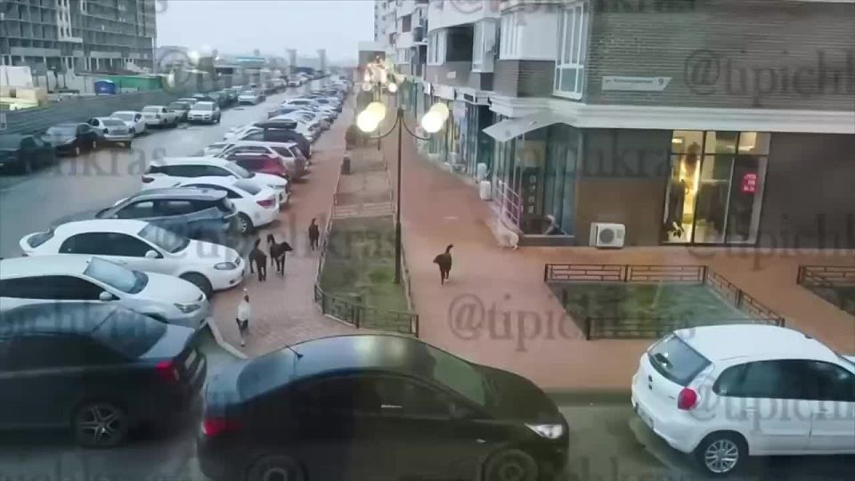 ��� � ���������� ����� ������ �������� �����