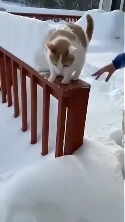 Завтра-послезавтра МЧС опять обещают снег на Кубани, а на видео - краснодарцы после таких "заносов"