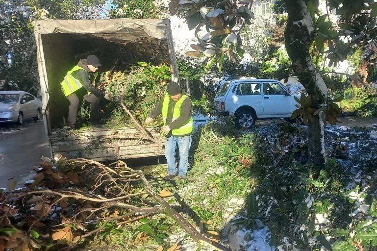 Глава Сочи Андрей Прошунин: «На ночной расчистке дорог от снега задействовали 227 единиц техники и почти 450 дорожных рабочих» Глава Сочи Андрей Прошунин: «На ночной расчистке дорог от снега задействовали 227 единиц техники и почти 450 дорожных рабочих»